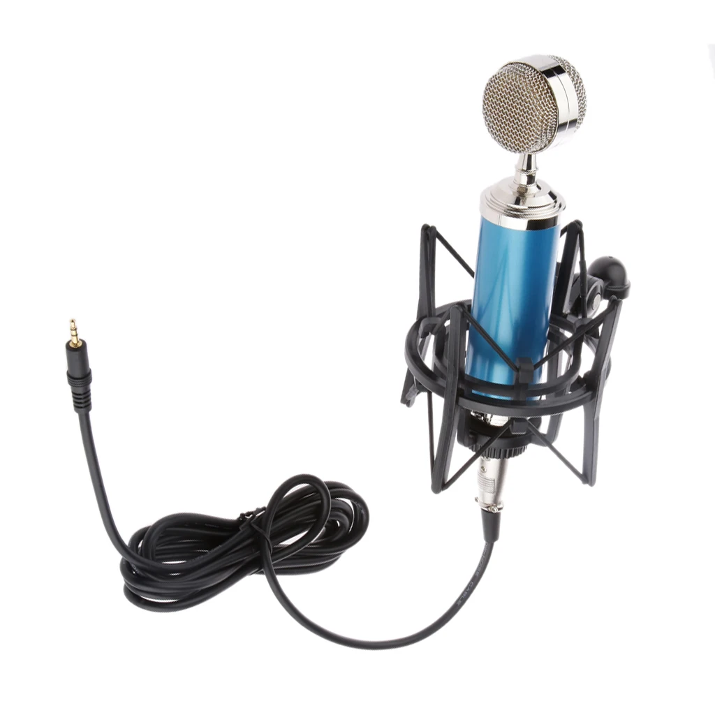 

Hanging Microphone W/ Metal Filter Net Shock Mount For Studio Blue