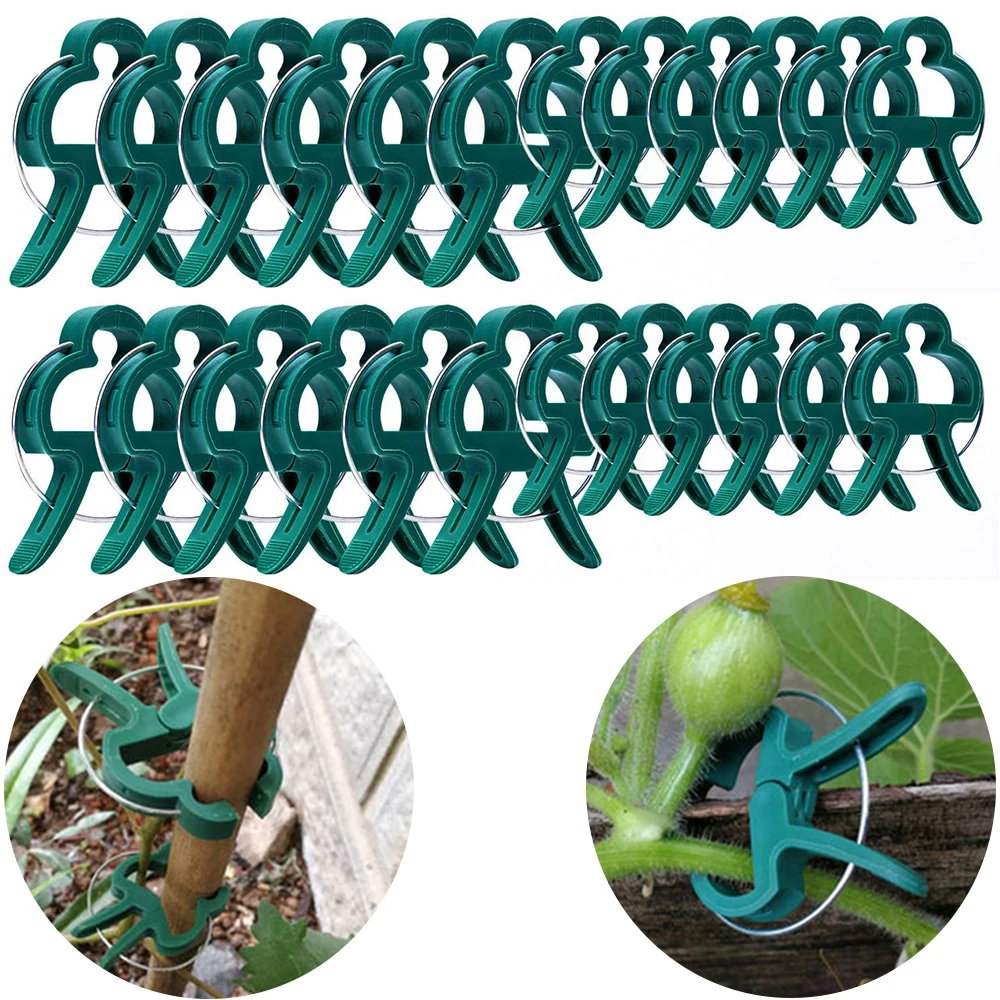30/50/100pcs Reusable Plant Clips 4.5*3cm/6x4.5cm Plant Stems Stalks Vines Climb Fixed Clamp for Gardening Seedling Bracket Tool