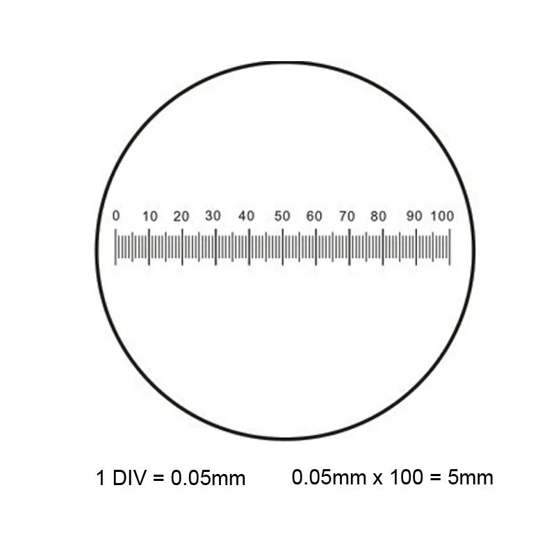 c4 (1)