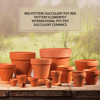 

Small Mini Flower Pots Clay Ceramic Pottery Succulent Plants Pot Cactus Flower Pots Home and Garden Decor Mini Succulent Pots