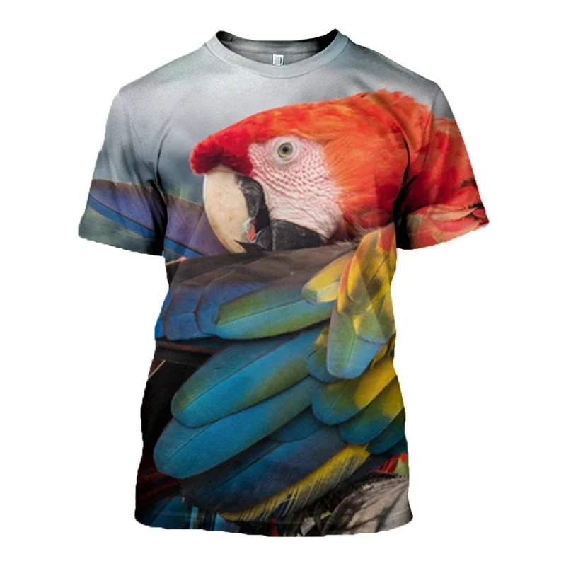 D_c_Parrot_3D_DT270603_T_Shirt_800x