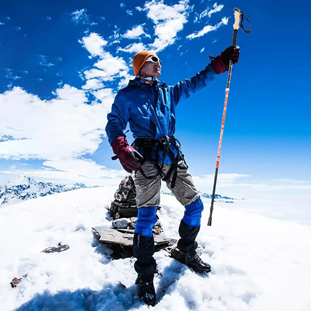 2019 new hot fashion aotu hiking poles,collapsible