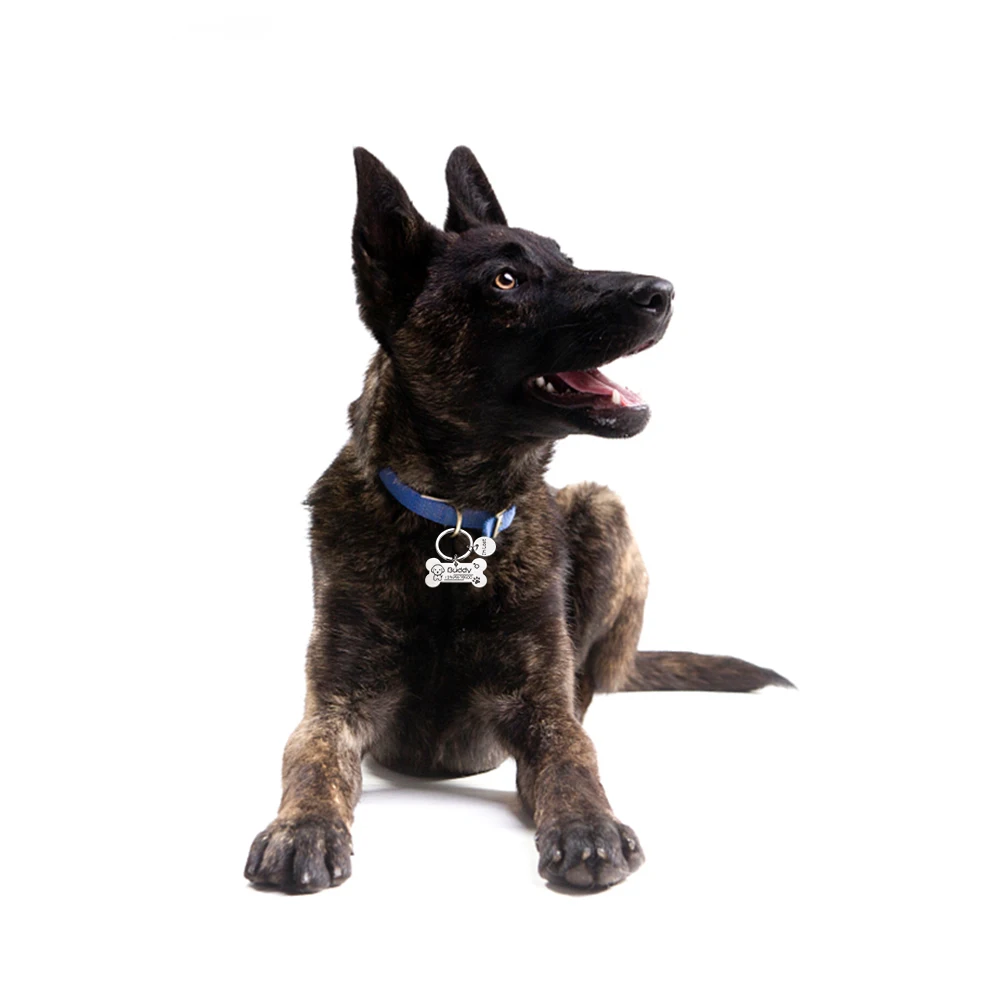 Hf6d2fd814bde437d98f0b4074e3ce4133