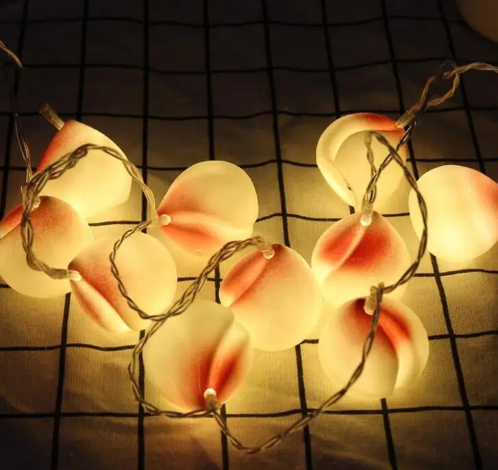 

2m 10Led Led friut lights string ball battery box string lights decoration lights