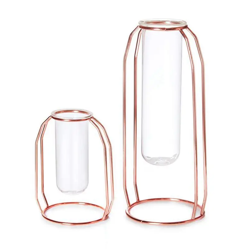 Vases-Set-of-2-Metal-Flower-Vase-Glass-Vase-Planter-Terrariums-Gold-Vases-Vase-Plant-Glass