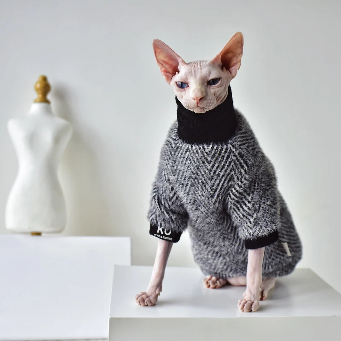 DOUJIN Hairless Cat Clothes Sphinx Devon Kenneth in Winter-XXXL :  : Pet Supplies