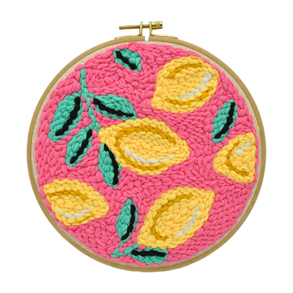 Punch Needles Embroidery Kits with Pre-printed Fabric Embroidery Designs