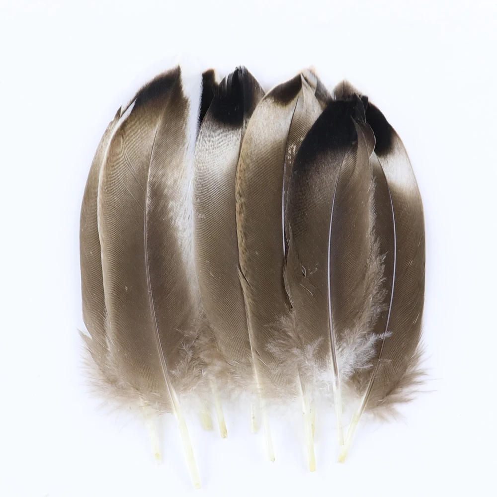 WCFeatherS 29 Styles Natural feather Pheasant Peacock Chicken feathers DIY Mask Jewelry Decoration Accessory Plumes Plumas