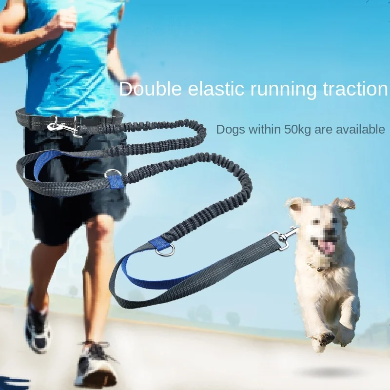2021 New Reflective Leash Traction Rope Pet Dog Running Belt Elastic Hands Freely Jogging Pull Metal D-ring Leashes | Дом и сад