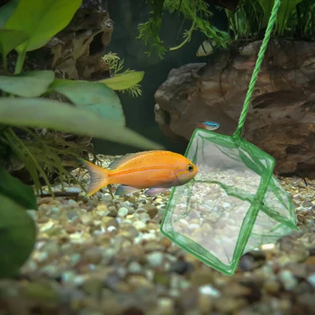 

Aquarium Net Fish Tank Net Round Square Fish Fishing Aquarium Copy Net Fishing Net Small Fish Landing Net Aquarium Accessories