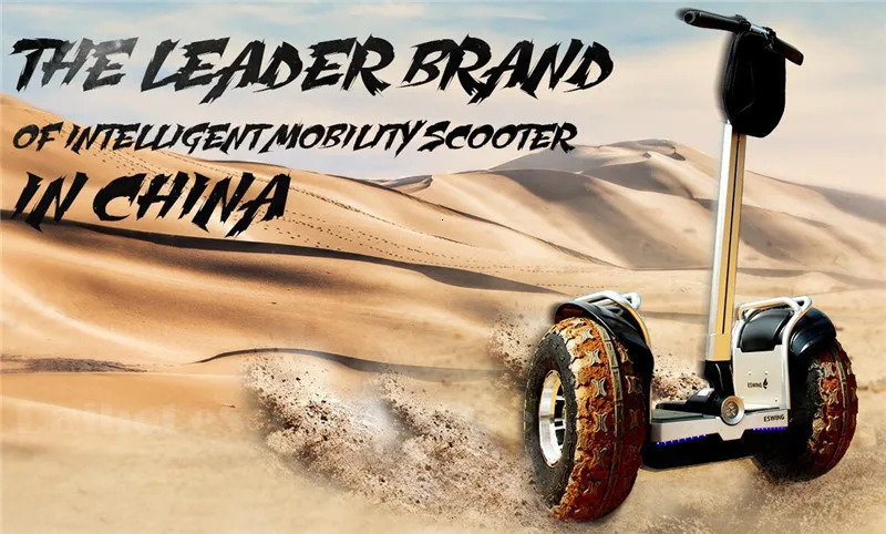 New Off Road Electric Scooter Personal Golf Carts 19 Inch Self Balancing Hoverboard 2400W Electric Golf Scooter With GPSAPP (6)