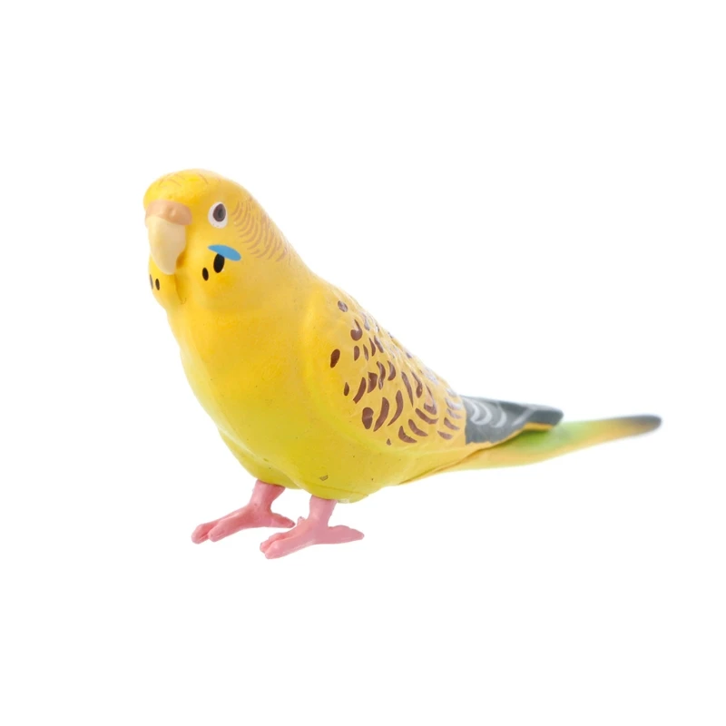 

Cute Small Parrot Bird Simulation Model House Office Desk Decoration Ornaments