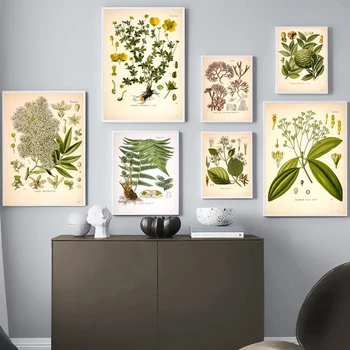 

Vintage Medicinal Plants Posters and Prints Botany Educational Wall Art Pictures Botanical Kitchen Decoration