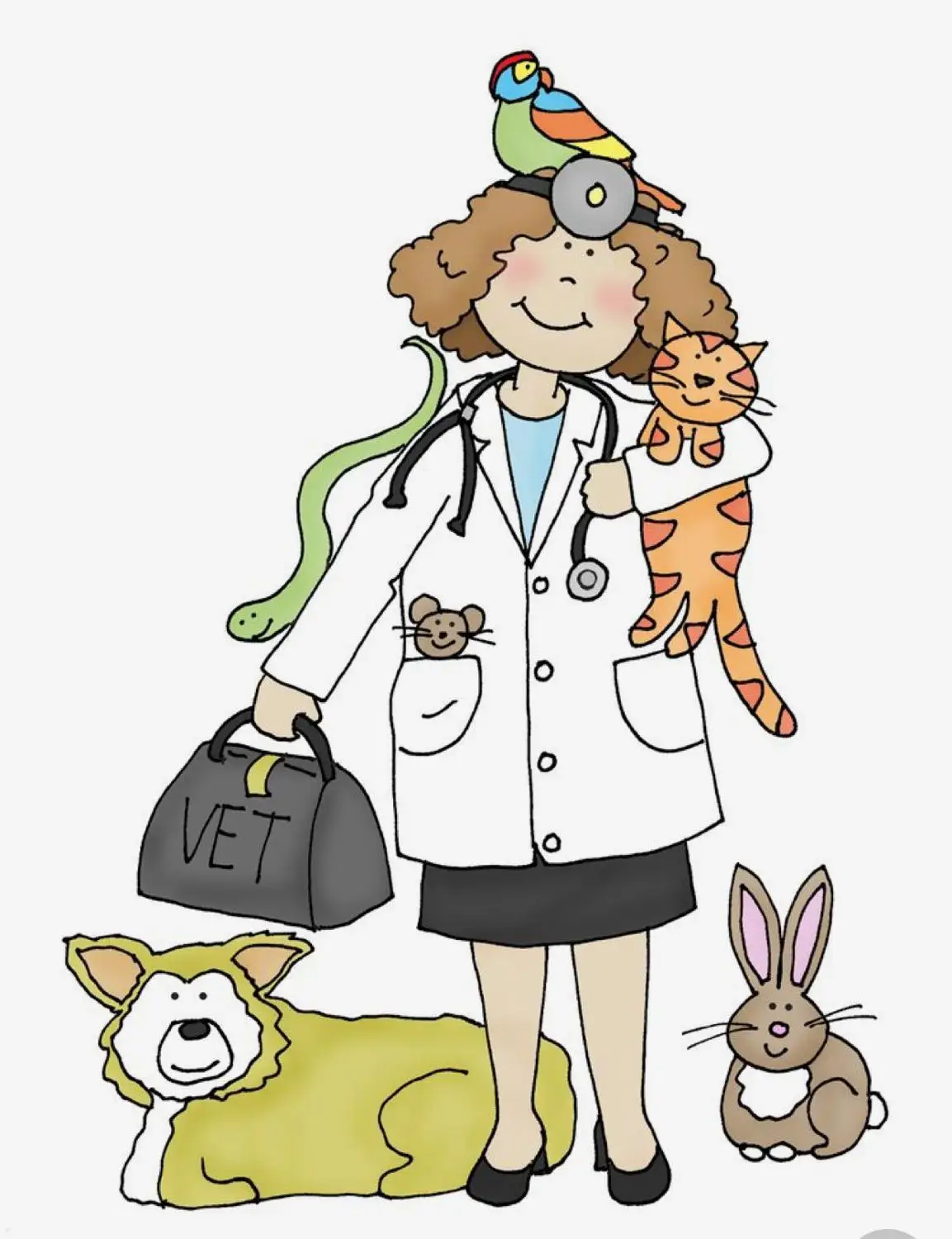 

doctor vet Transparent Silicone Clear Rubber Stamp Sheet Cling Scrapbooking DIY Cute Pattern Photo Album PaperCard Decor Stamp