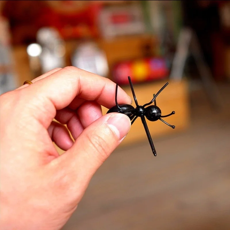 Hf6e97ee020fc433fa17f2c411cfa858aW.jpg?width=800&height=800&hash=1600