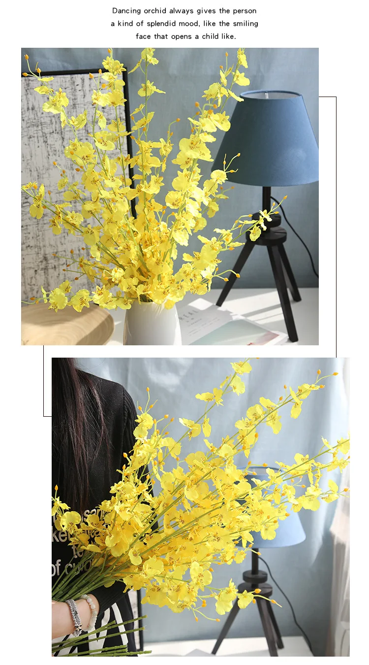 8679076568_1885843273