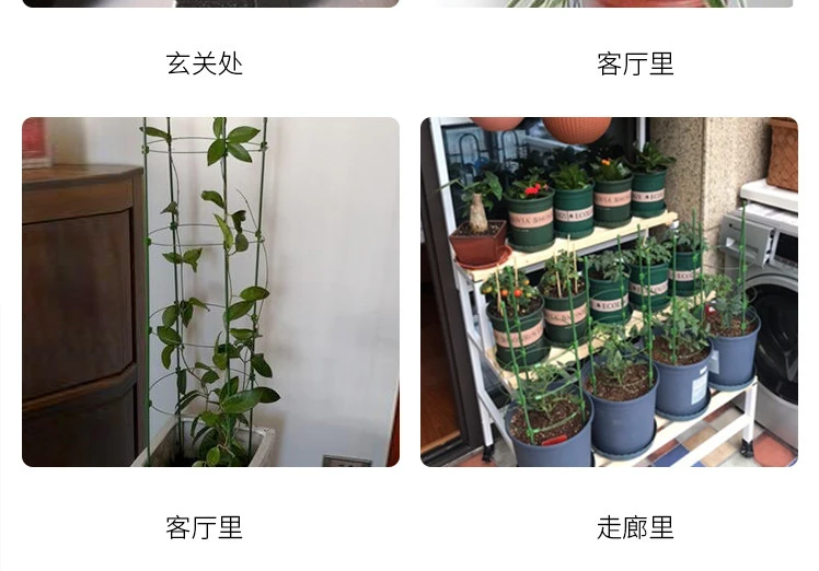 Крытый китайский цветок розы кронштейн Clematis лотоса для подъема каркасный кронштейн