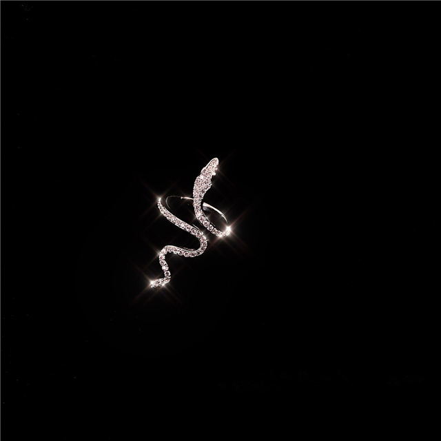 2020 New Hip Hop Punk Silver Colour Wave Bend  Snake Metal Vintage Finger Ring for Cool Women Girls Jewelry Gifts