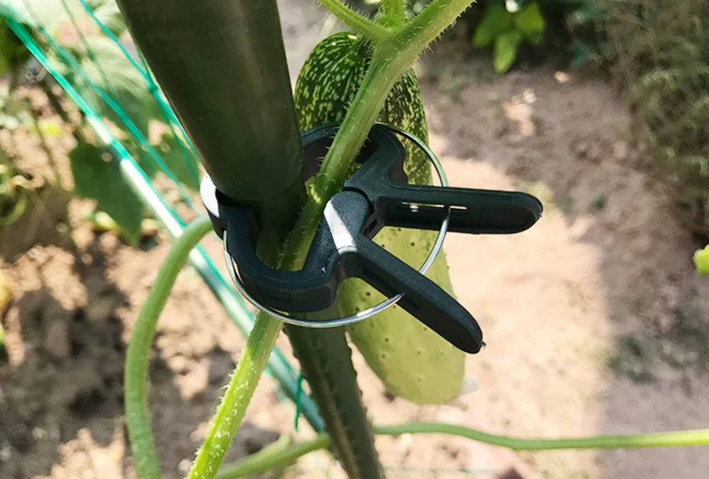 O1CN01adJHE52NSBoLdDCAE_!!40089961