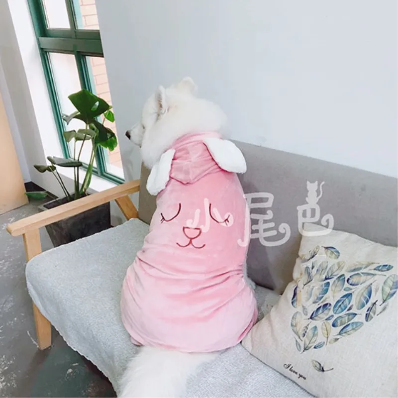 Labrador clothes (2)