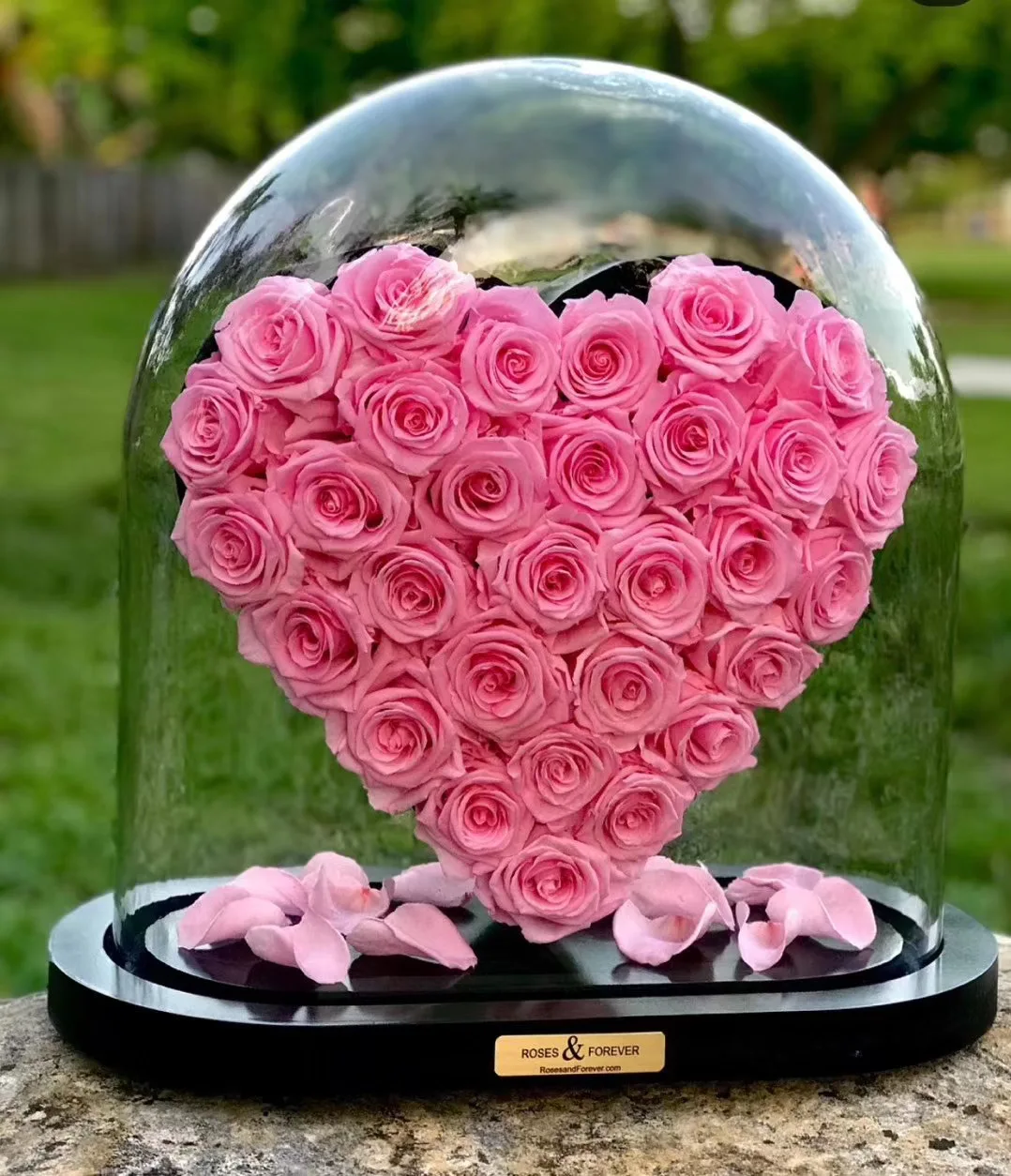 

Gorgeous Forever Heart Shape Eternal Preserved roses in Large Luxury glass dome for Valentine's Day