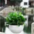 Plant Hanging Baskets Flower Pots Holder Chain Basin Plants Grow Basin Balcony Hanging Decoration Home Garden Supplies 