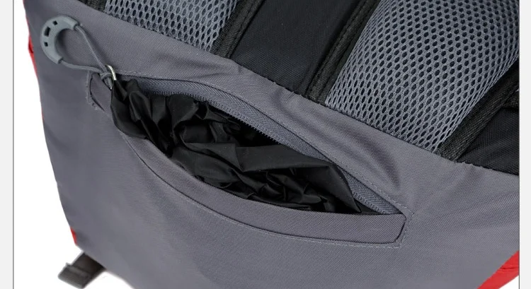 10452941440_421471669_看图王(1)