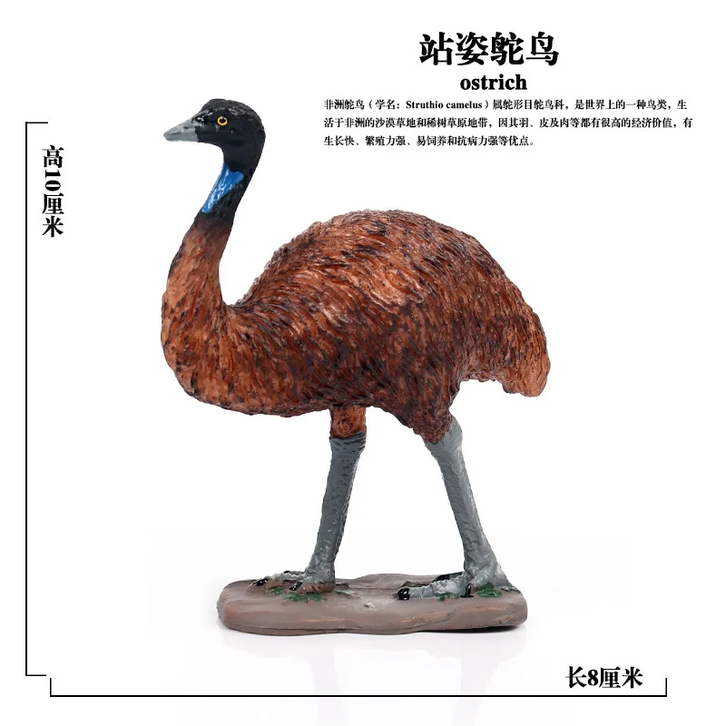 Children Model Static Solid Wild Animal Model Toy Birds Ostrich Decorations And Ornaments Garage Kit Set