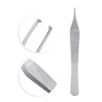 

Dental Forceps Dental Tweezers Round Tip Straight 12cm Dental Surgical Instrument Tools