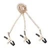 Sexy flirt Nipple Clamps Labia Breast Nipple Clamps With Chain Clips Slave Bdsm Fetish Erotic Toys Sex Tool For women Adult Game ► Photo 3/6