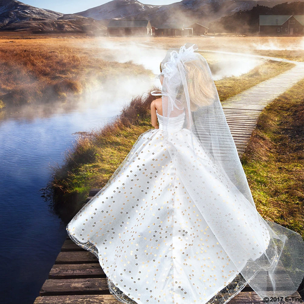 3849580676_1730353263