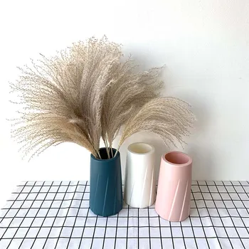 

20pcs small pampas grass reeds bulrush household wedding decorations dried flowers plastic vase eucalyptus Gypsophila paniculata
