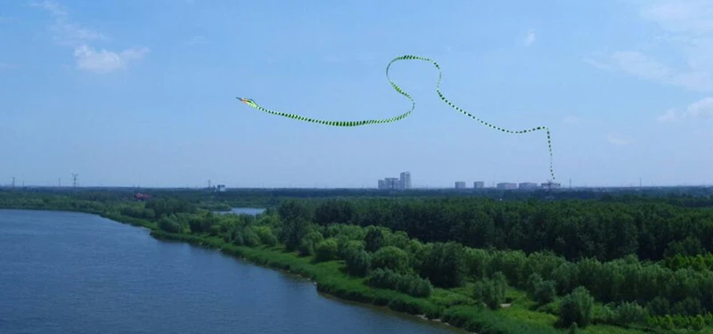 large snake kite cerf volant enfants parachute kids outdoor toys windsurf gel blaster juguetes inflables flying snake kite