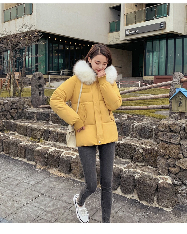 Winter jacket women Puffer Winter Female Jacket Winter Coat Women Fake Fur Collar Warm Woman Parka Outerwear Down Jacket Coat
