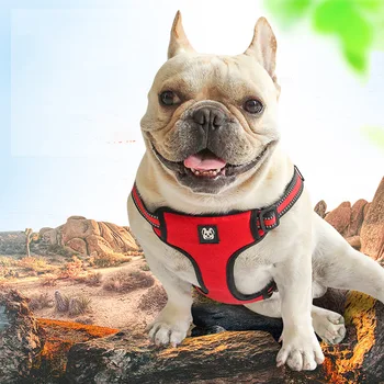 

Reflective Dog Harness Martingale Pet Collars Small Medium Dog Collars Out Going Training French Bulldog Collars