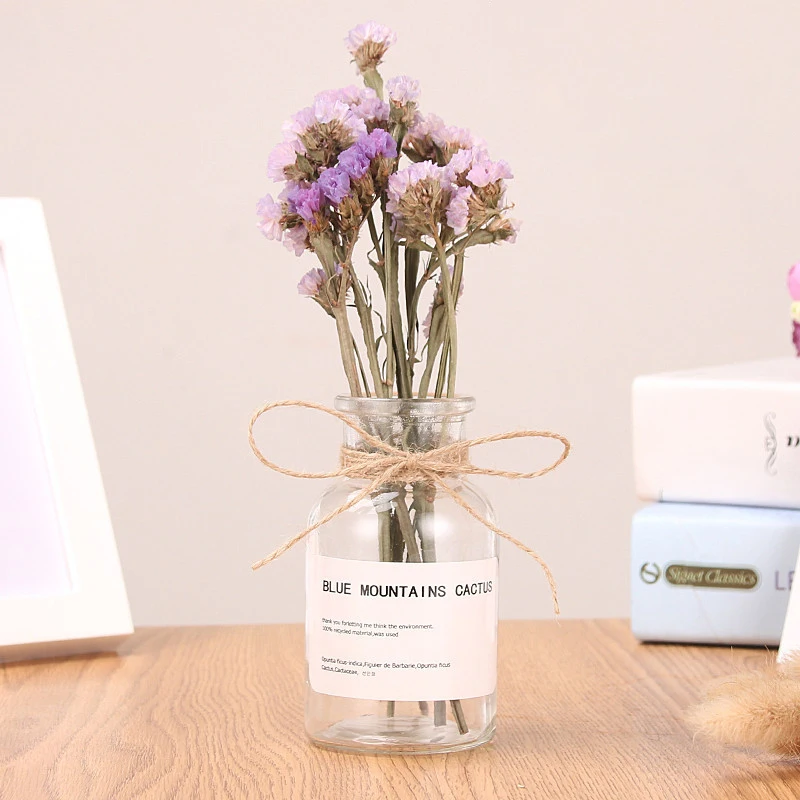 Ваза для гидропоники М мини домашний горшок Cheaphomedecor коричневый прозрачный винтажный Японский табелопдекор искусство