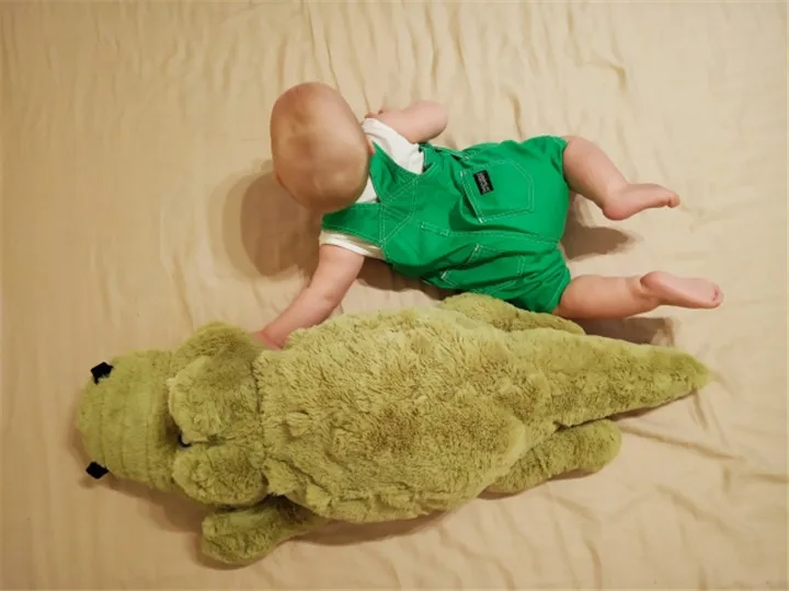 UTB85v2sOlahduJk43Jaq6zM8FXaT