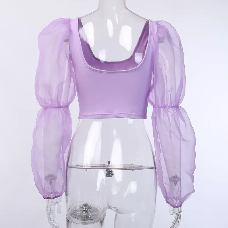 11150081085_2146010042