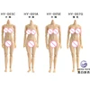 Cuerpo Femenino medio sin costuras y Flexible, escala 1/12, cuerpo pálido/bronceado para cuerpo de figura de acción, juguetes modelos de muñecas HENG ► Foto 2/6