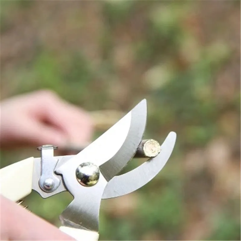 Stainless-steel-twig-pruner-pick-fruit-flower-wood-scissors-garden-fruit-trees-garden-scissors-garden-kitchen (1)