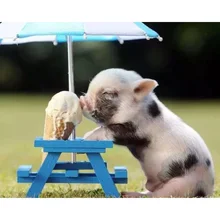 Набор для рисования по номерам «сделай сам» свинка съесть мороженое