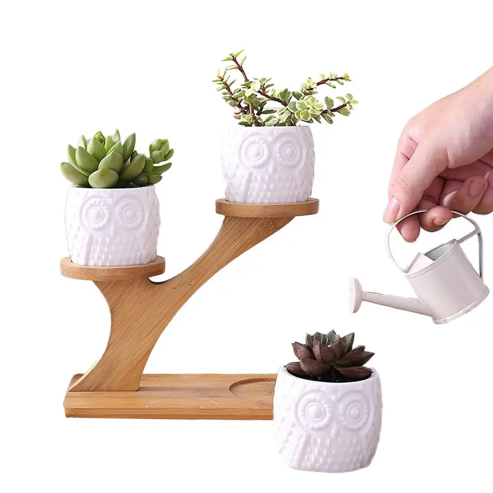 

Simple Creative White Succulent Plant Flower Pot Holder Ceramic Owl Pattern Pot Treetop Shaped Bamboo Shelf Pot Planter Set Home