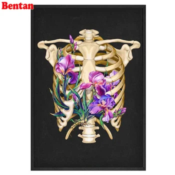 

5d puzzle diamond painting Full square Round Diamond mosaic Organ Anatomy Flower Medicine Picture Rhinestone Diamond Embroidery
