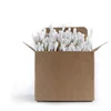 100PCS Cotton Swab Disposable Tube Double-Headed Bamboo Cotton Soft Cotton Ear Two Tips Bamboo Cotton Swabs ► Photo 1/6