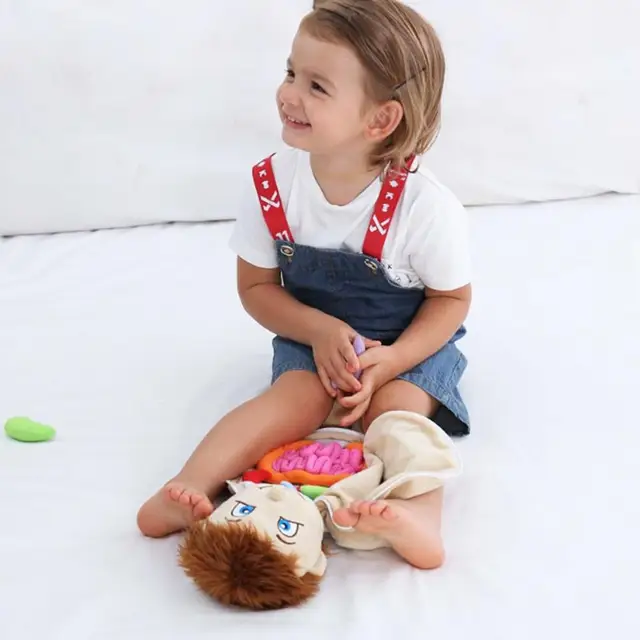 Kid Montessori 3D Puzzle Anatomy Doll Educational Learning Organ SoftToy Body Organ Teaching Tool For Children 4