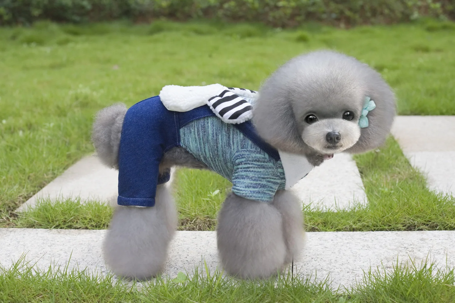 Cross-border hot selling pet clothes dog four-legged clothes cat clothes bean rabbit four-legged cotton clothing Amazon - Color: green