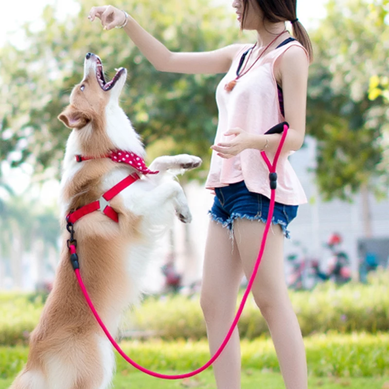 No-Pull Dog Harness dog leash Nylon Pet Leash for dog & cat Adjustable Flannel Padded Small & large dog harness vest