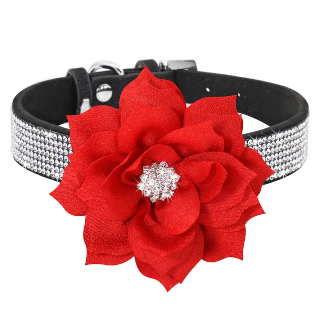 305-black