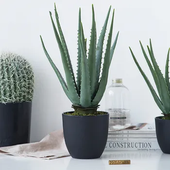 

Nordic hand gel aloe white thorn cactus bonsai artificial greenery plant house potted fake plants with pot for home decoration