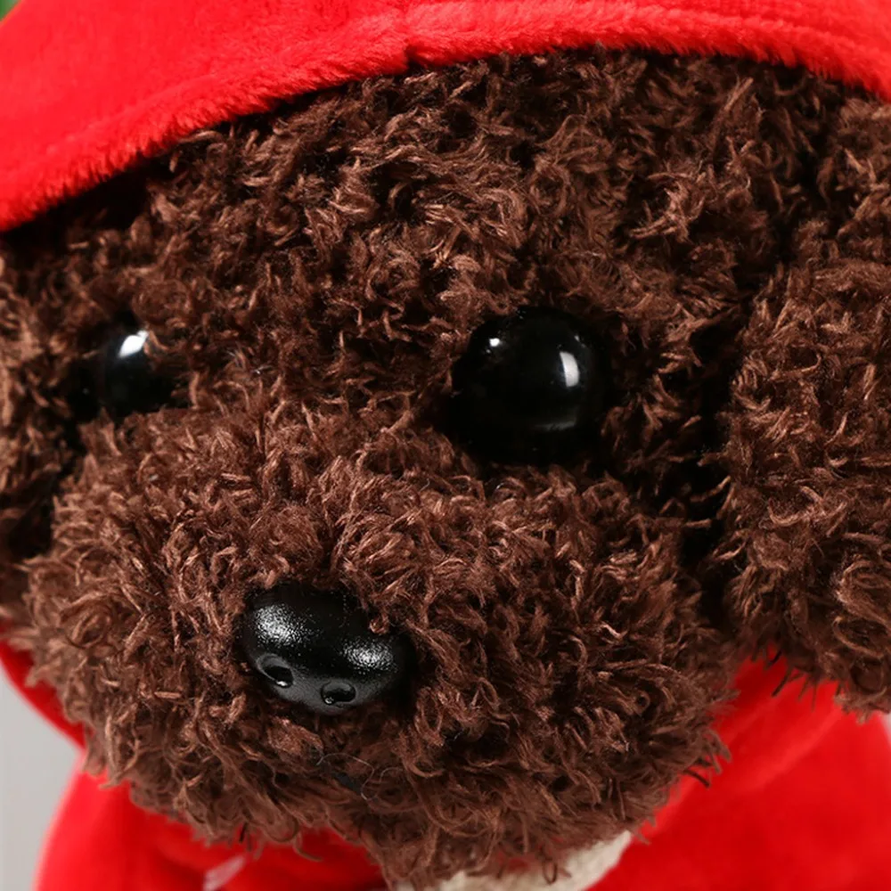 Teddy Dog Rag  (13)